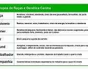 Grupos de Raças e Genética Canina