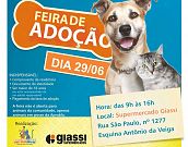 Feira de adoção de animais da Aprablu em Blumenau/SC